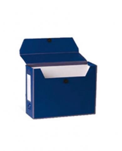 Lot de 2 Perfect-box en plein simili cuir 33x25cm Dos 8cm Coloris au choix