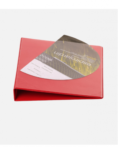 Lot de 5 classeurs pvc SICLA A4  À 2 anneaux dos 10 cm Coloris au choix