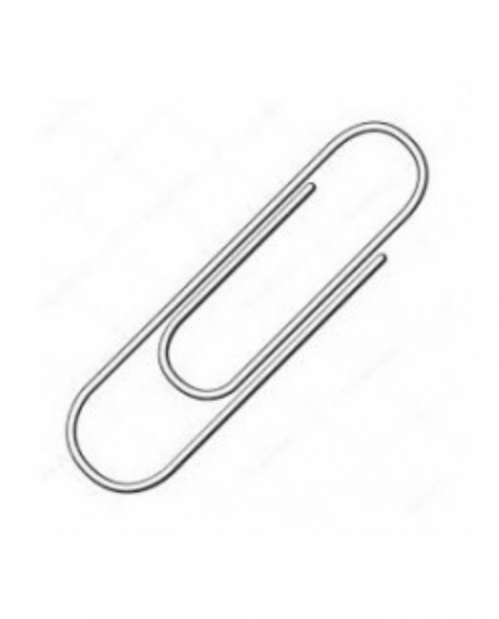 LOT DE 10 Boites de 100 TROMBONES EXPRESS CHROMES 50MM
