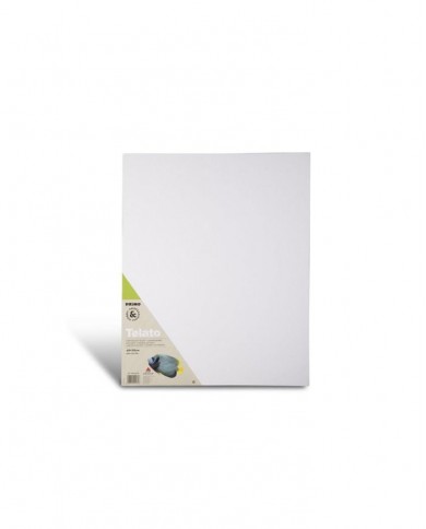 Canevas 40*50cm 469CT40X50