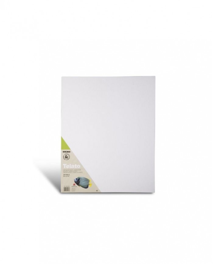 Canevas 40*50cm 469CT40X50