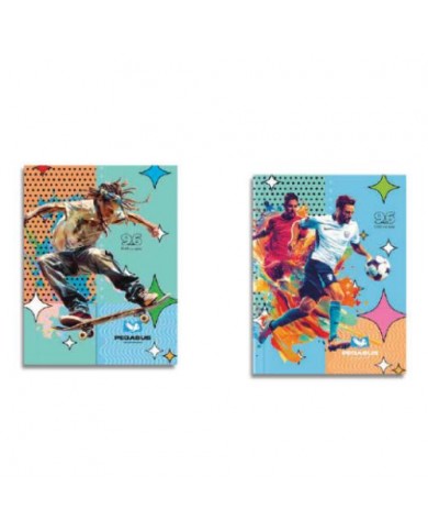 Cahier Piqué 96 Pages 60 Grs 17*22 Séyès PEGASUS