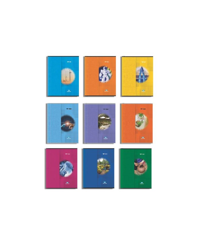 Cahier TP Piqué 96 Pages 60/80 Grs 17*22 Séyès  PEGASUS PEGASUS