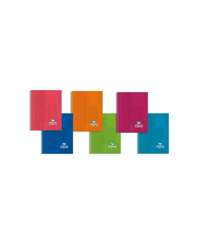 Cahier Broché 288 Pages 60 Grs 21*29,7 5*5 PEGASUS
