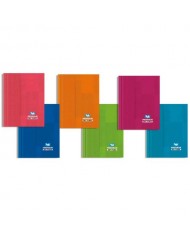 Cahier Broché 288 Pages 60 Grs 21*29,7 5*5 PEGASUS
